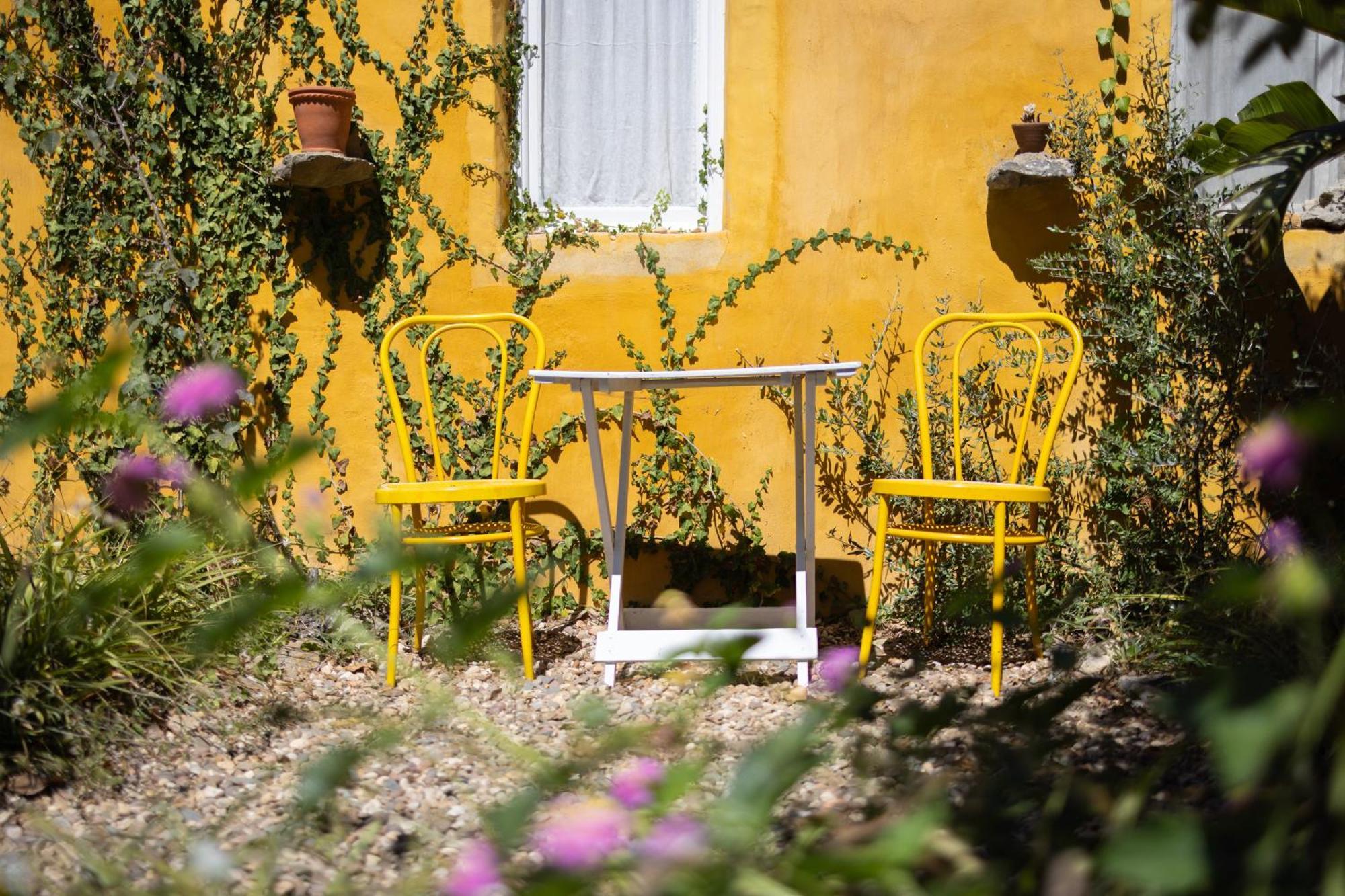Alma Do Paco Bed & Breakfast Santo Isidoro Exterior foto